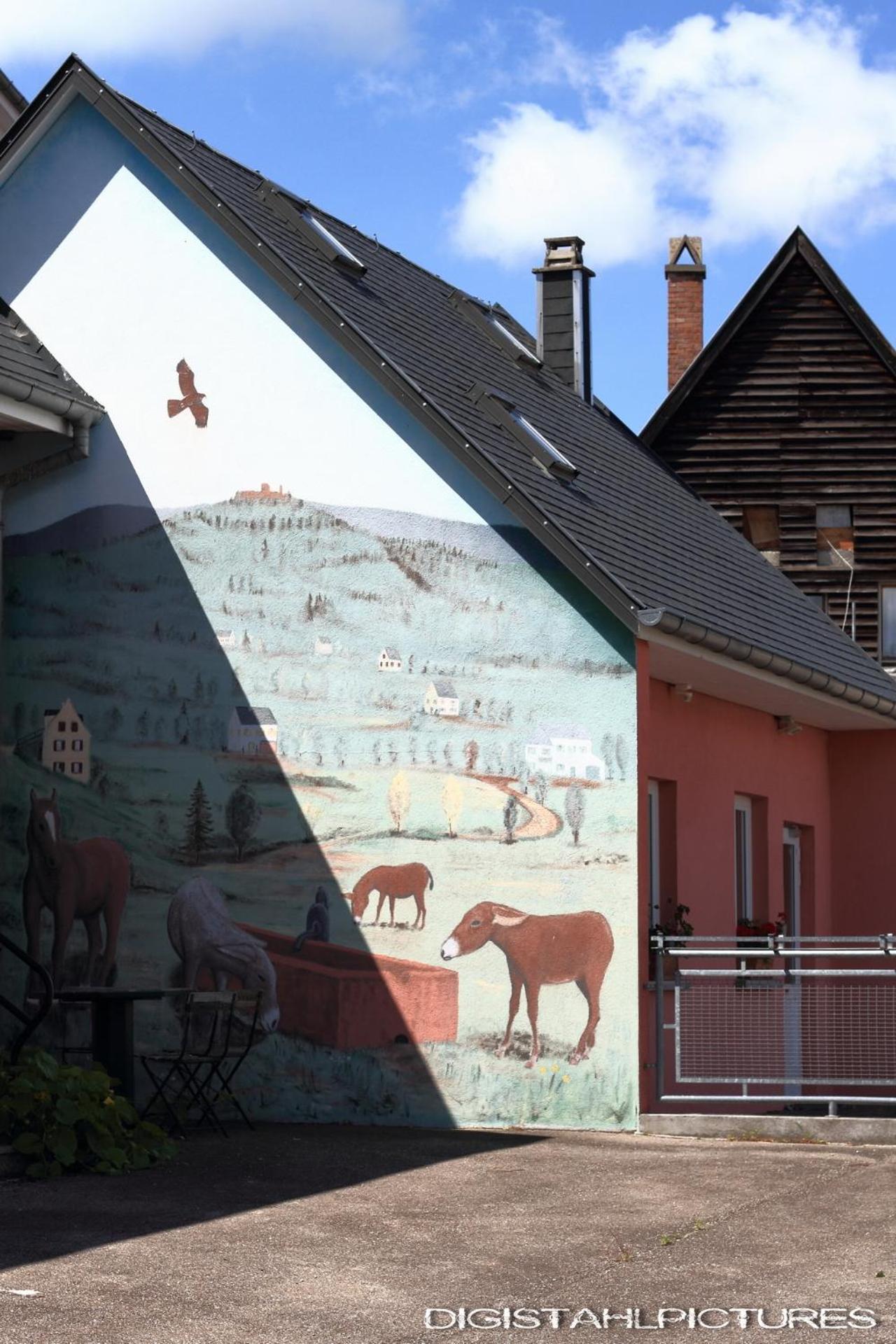 Apartment A La Montagne Labaroche